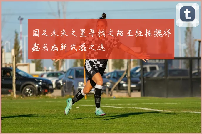 国足未来之星寻找之路王钰栋魏祥鑫或成新武磊之选