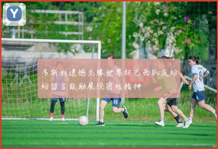 韦斯利遗憾无缘世界杯巴西队友纷纷留言鼓励展现团结精神